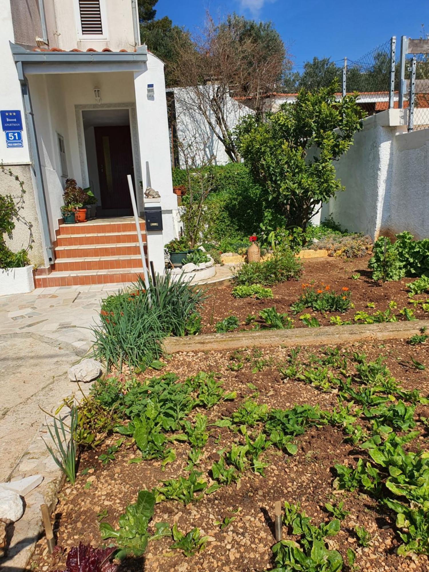 Apartment Marija Marina  Exterior foto